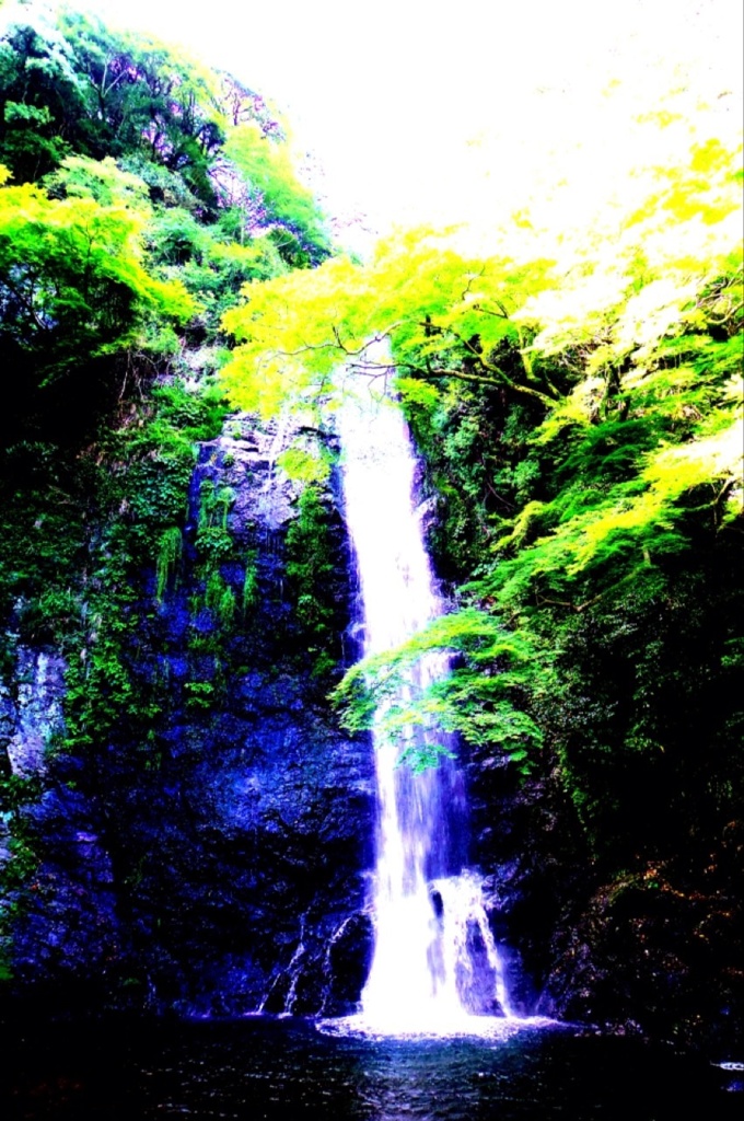 初夏の箕面滝