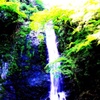 初夏の箕面滝