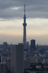 IMGP0740