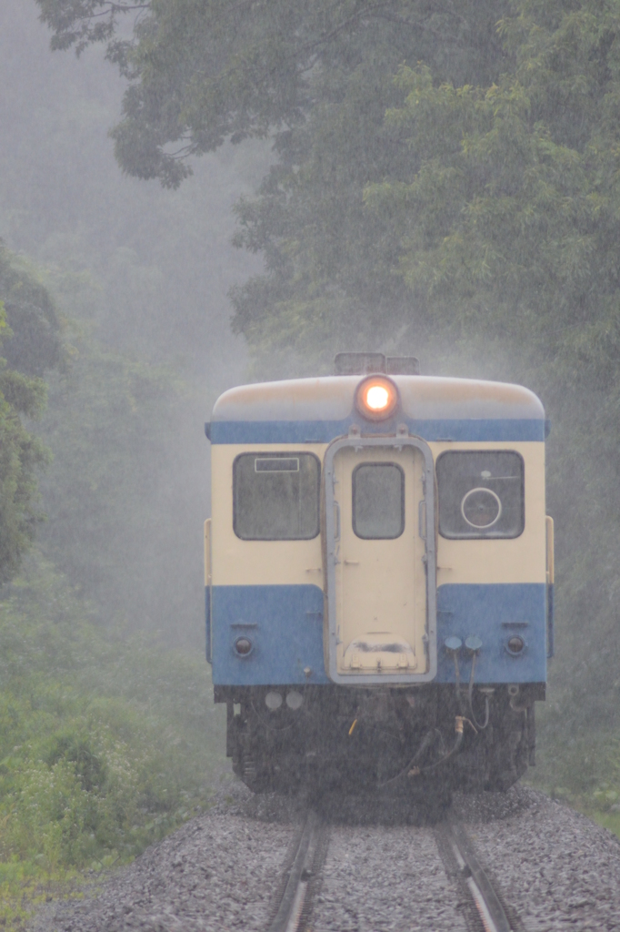 雨に打たれる