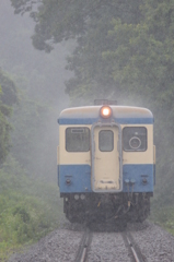 雨に打たれる