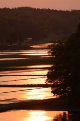 湊線夕景２