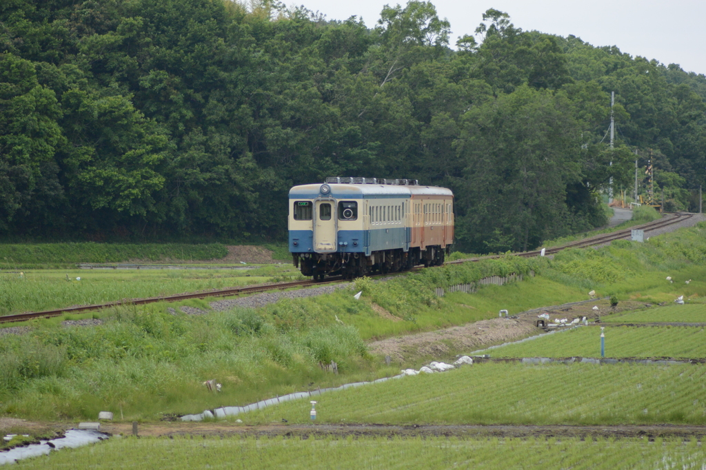 田園風景４