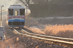 休日の朝列車
