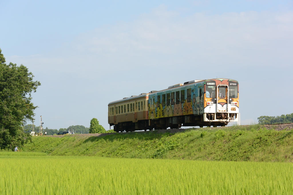 新旧コンビ