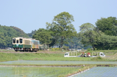 田植え作業