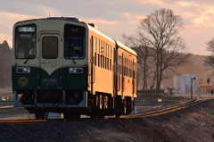 朝列車の輝き