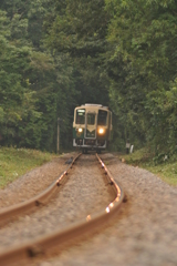 線路上のカラス