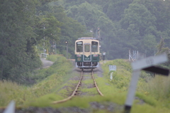 緑の中