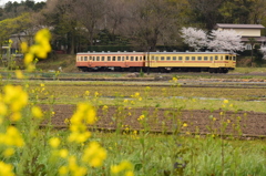 旧型気動車田園を行く