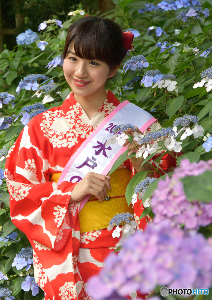 あじさいまつり