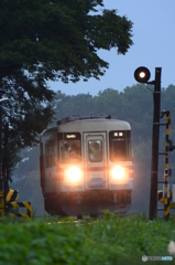 雨の夕列車