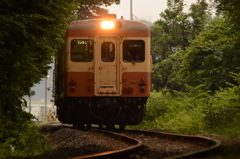 林間を行く