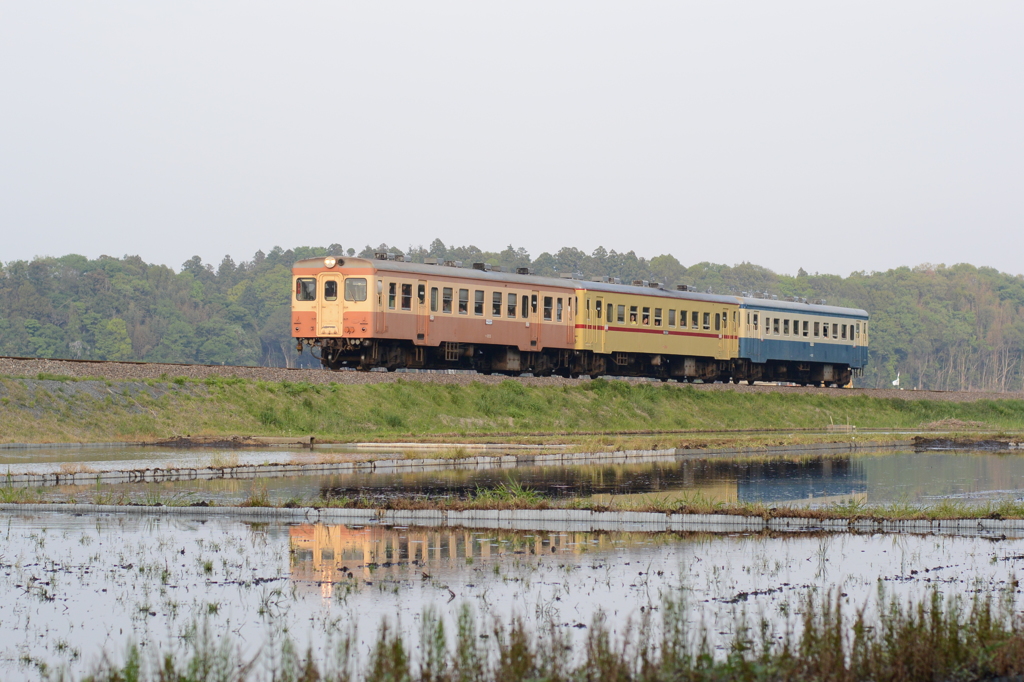 旧型気動車の旅，楽しんでください