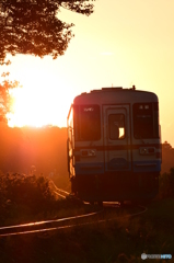 夏の夕日