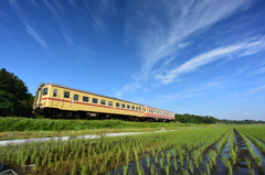 青空の下