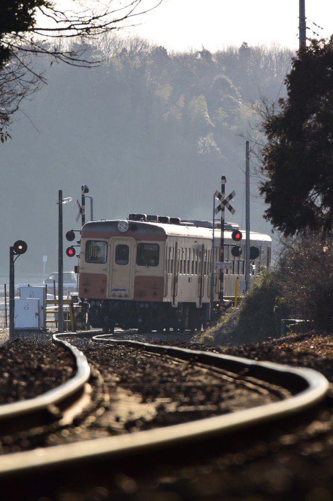 朝列車が来る