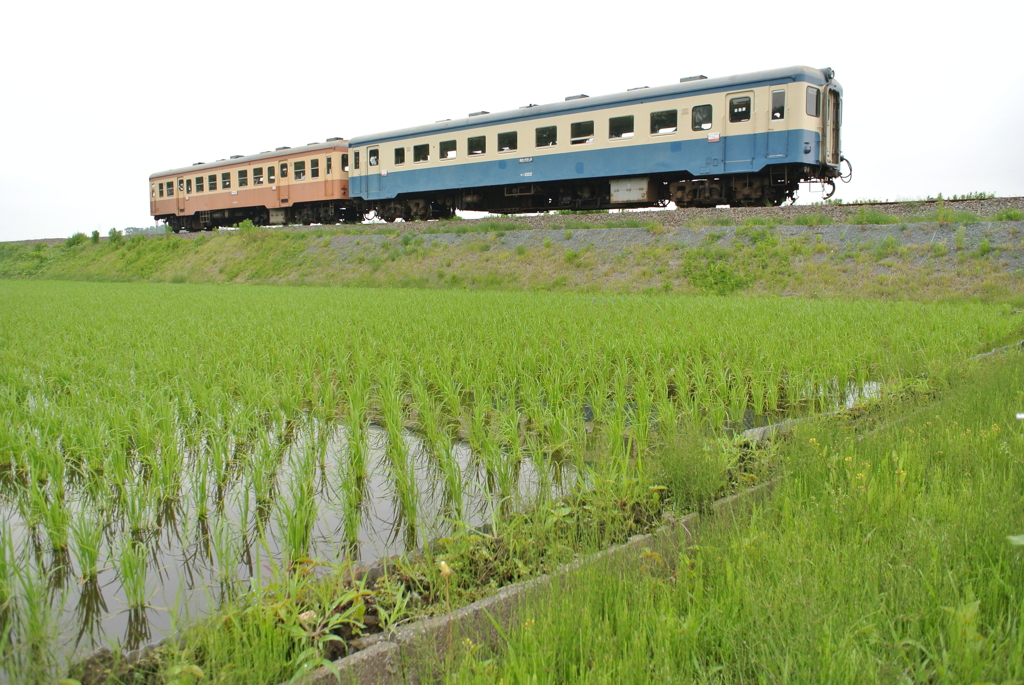 旧型気動車二連走る２