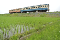 旧型気動車二連走る２