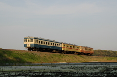 三色の気動車～夕日を浴びる～