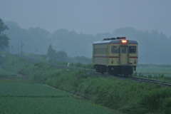 霧雨の夕暮れ
