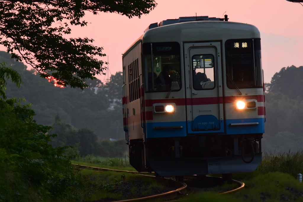 夕暮れのミキ