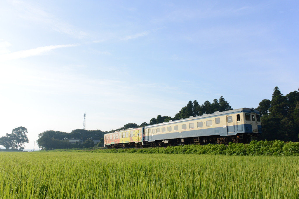 久しぶりのキハ222