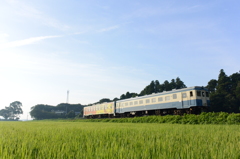 久しぶりのキハ222