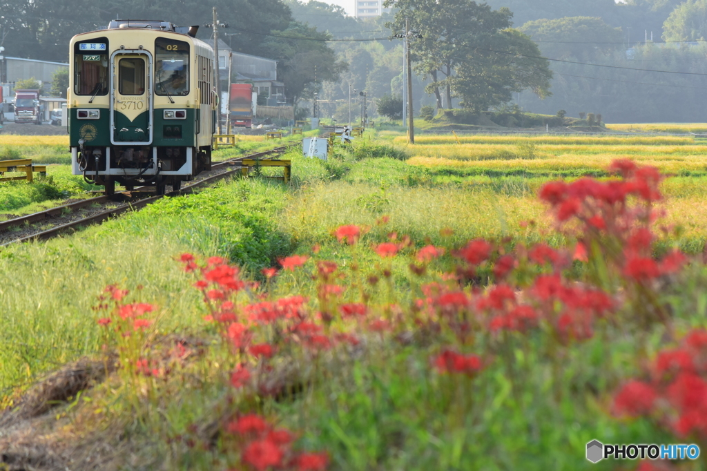 秋のお彼岸