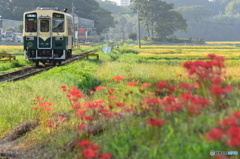 秋のお彼岸