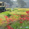 秋のお彼岸