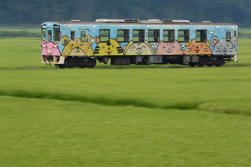 アニマル水田を行く