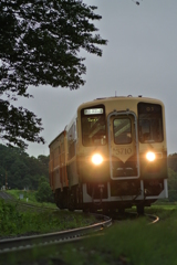 雨上がりキラリ