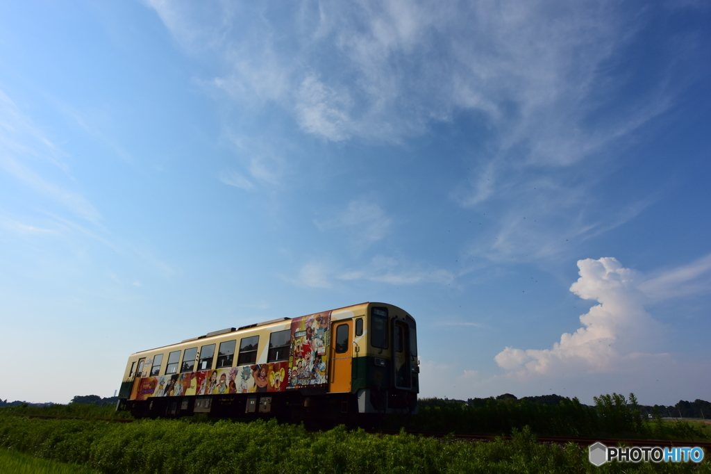 夏雲