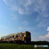 夏雲