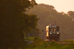 夕日を浴びて