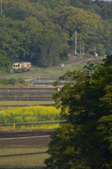 作付け進む水田地帯