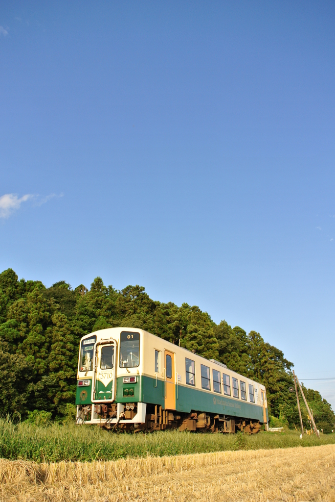 きれいな青空