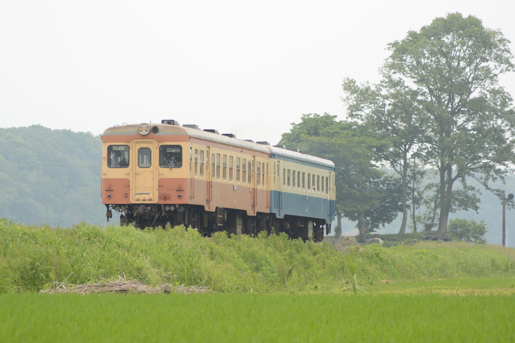 旧型気動車二連走る４
