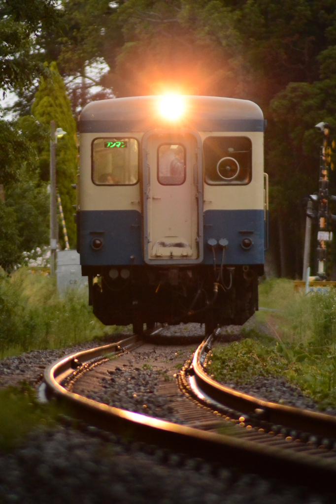 カーブを照らす