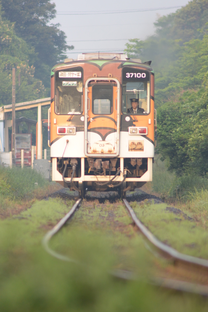 朝日を浴びるアニマルトレイン