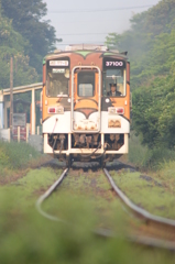 朝日を浴びるアニマルトレイン