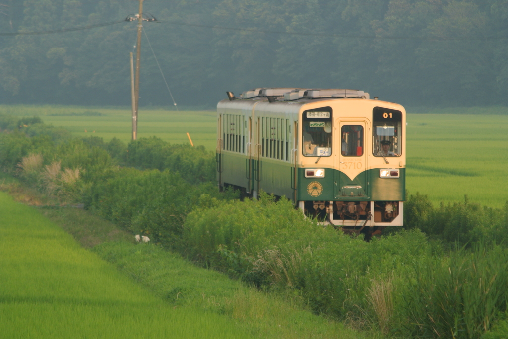 今日からビール列車！