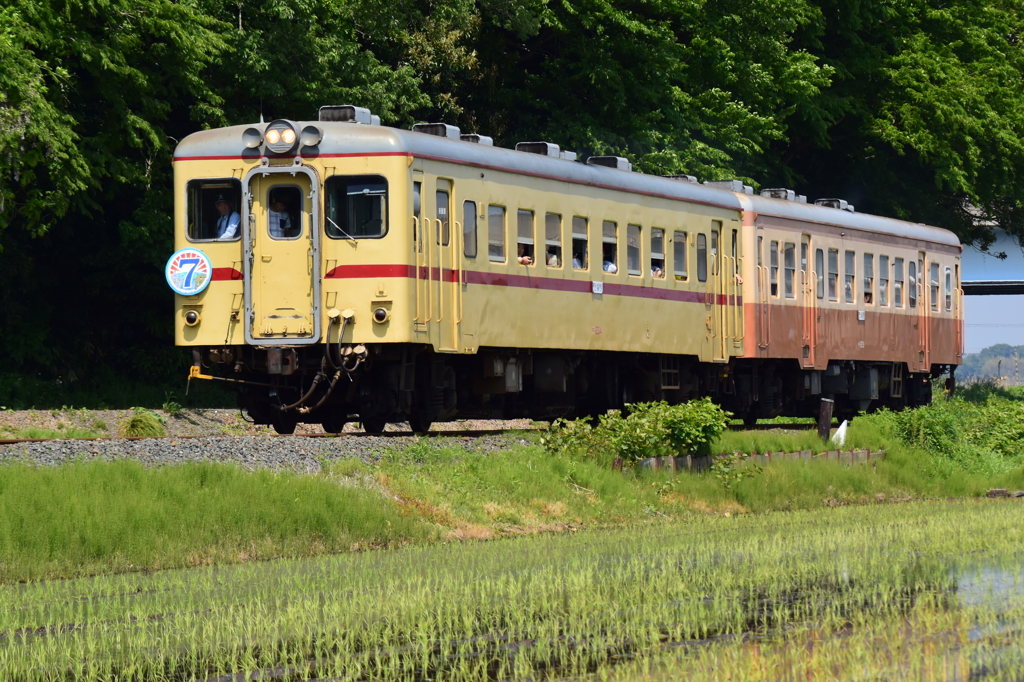 イベントのお客さん(1)