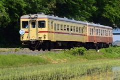 イベントのお客さん(1)
