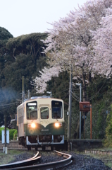 桜の駅を発つ