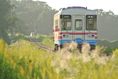 秋の夕暮れ