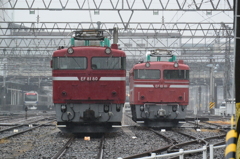 80と81