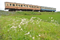 旧型気動車二連走る１
