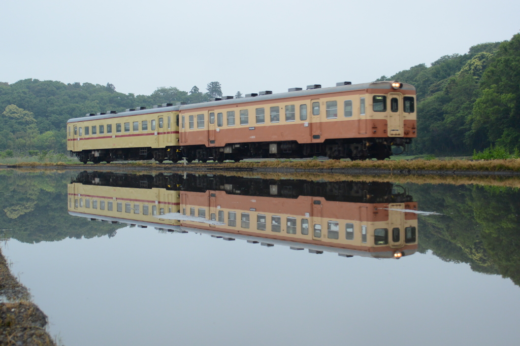 中根駅付近の水鏡